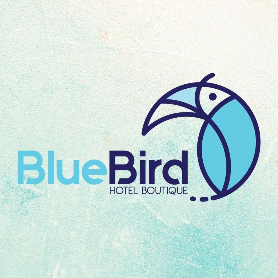 Blue Bird 호텔 바칼라르 외부 사진